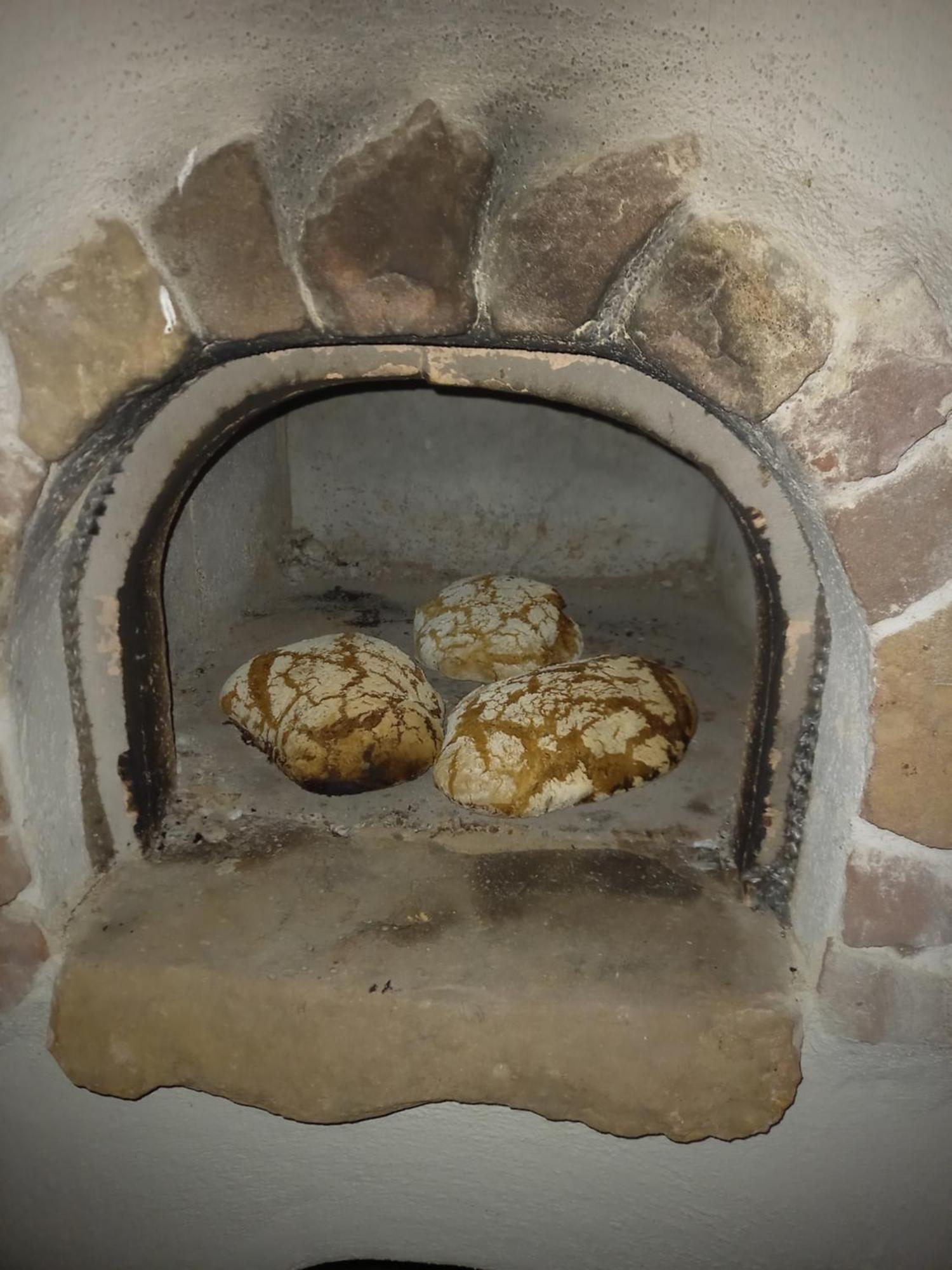 Appartement Wickys Igelnest à Malsch  Extérieur photo